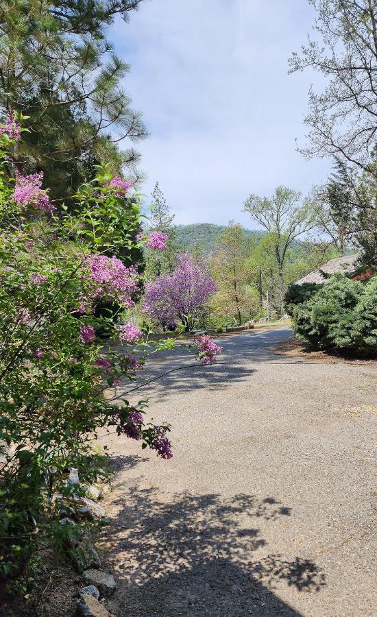 Yosemite Mountain Retreat Villa Oakhurst Dış mekan fotoğraf